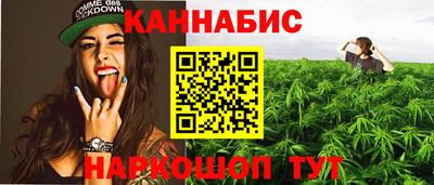 a pvp Кингисепп