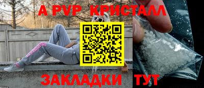 a pvp Кингисепп