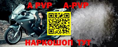 a pvp Кингисепп