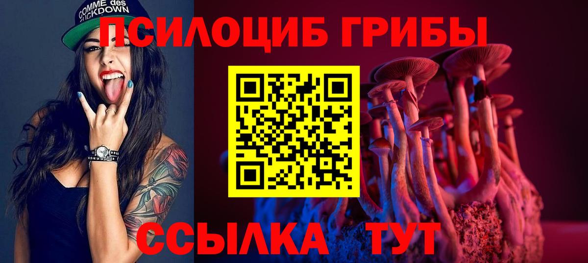 Галлюциногенные грибы Psilocybe  Псилоцибиновые грибы мухоморы  Вход с VPN  Кондопога 
