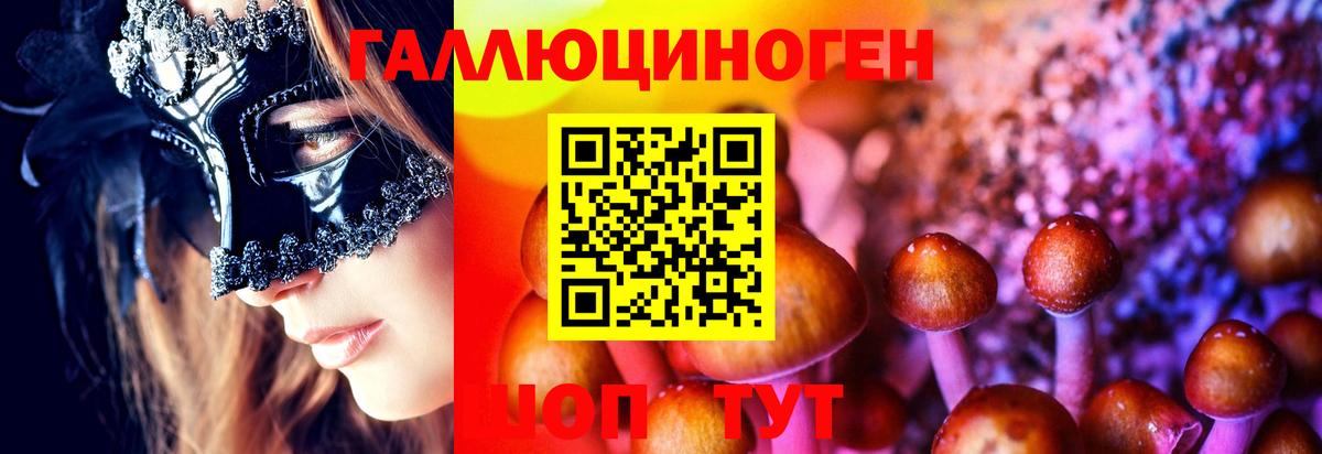Псилоцибиновые грибы прущие грибы Кондопога